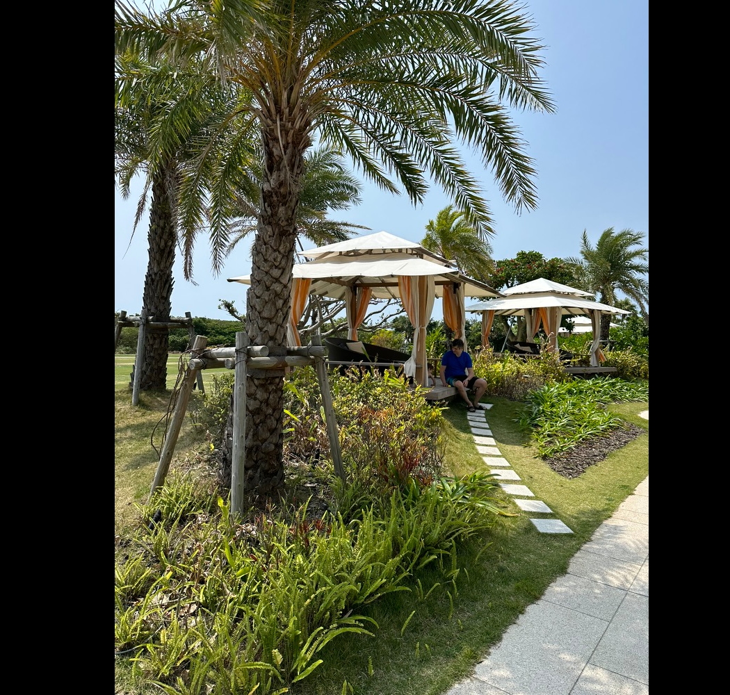 placeholder image-wide