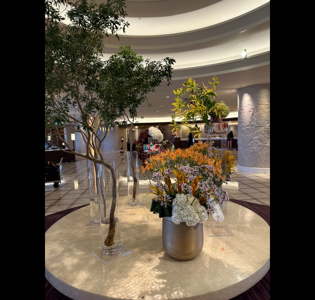 placeholder image-wide