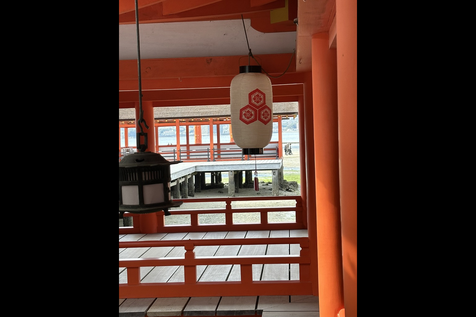 placeholder image-wide