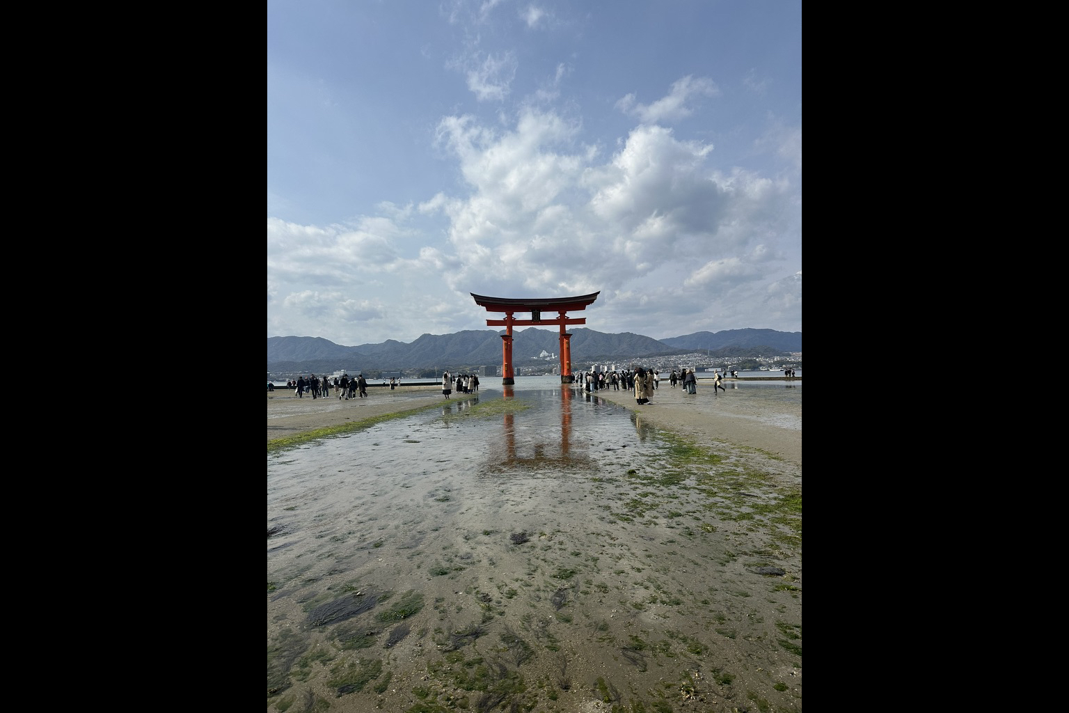 placeholder image-wide